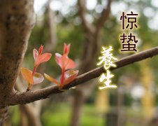 ����ʱ����ʳ��������