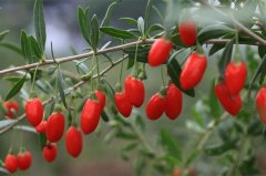 ������3���ٳԷ� ����