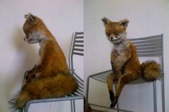 ��ҽ���Ʊ�����ʲô������