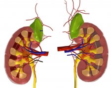 �����˺������8����